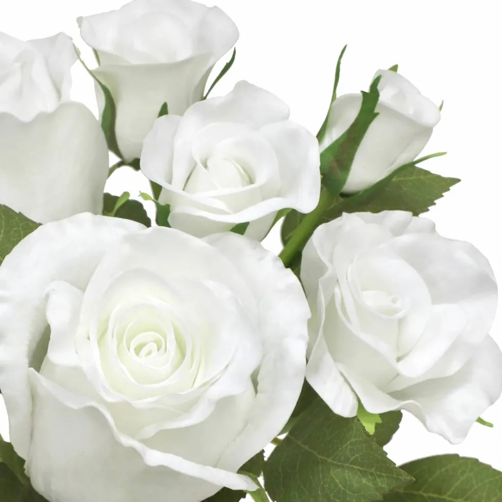 12" White Rose Bush by Ashland®