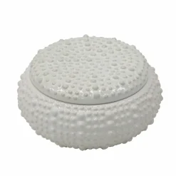 7.5" White Shell Ceramic Decorative Box by Ashland®