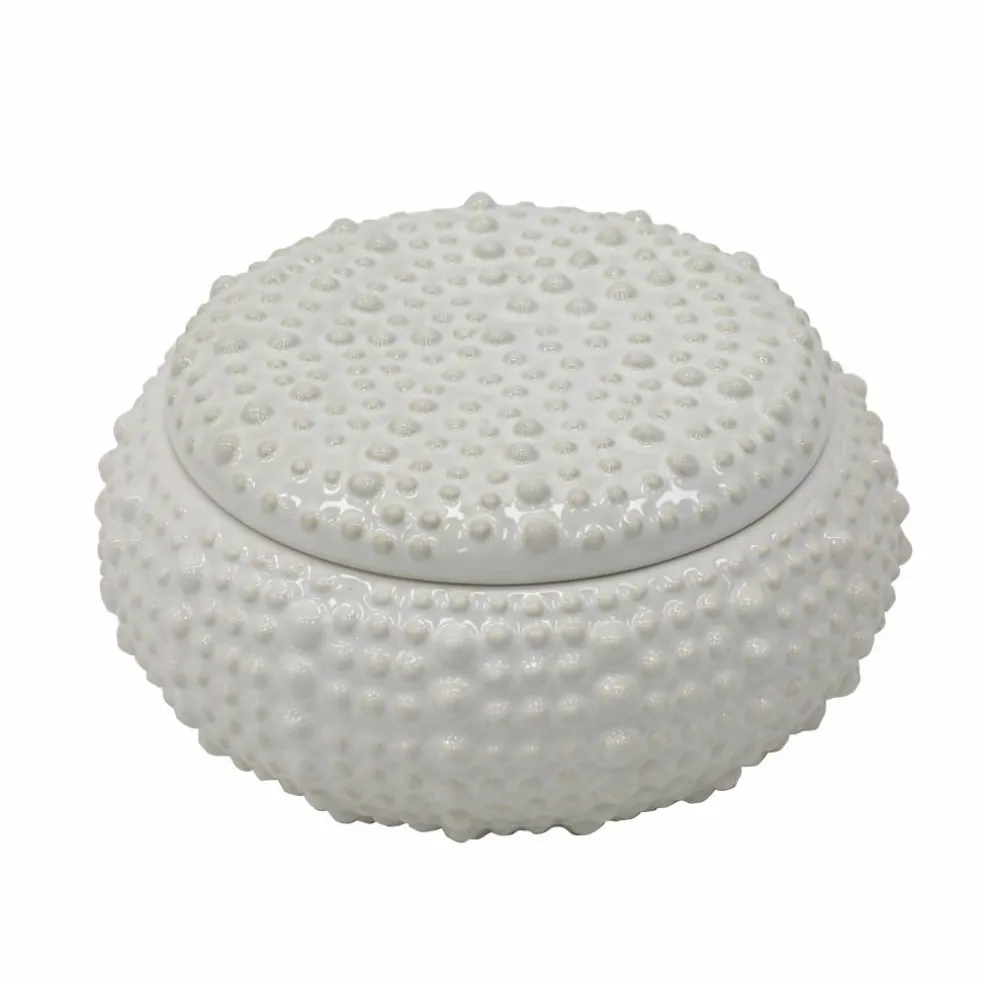7.5" White Shell Ceramic Decorative Box by Ashland®