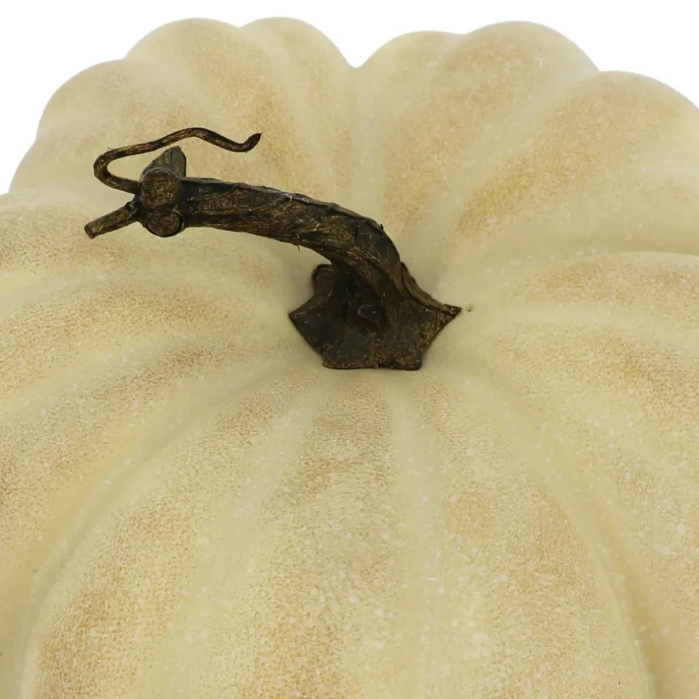 10" White Washed Beige Decorative Pumpkin by Ashland®