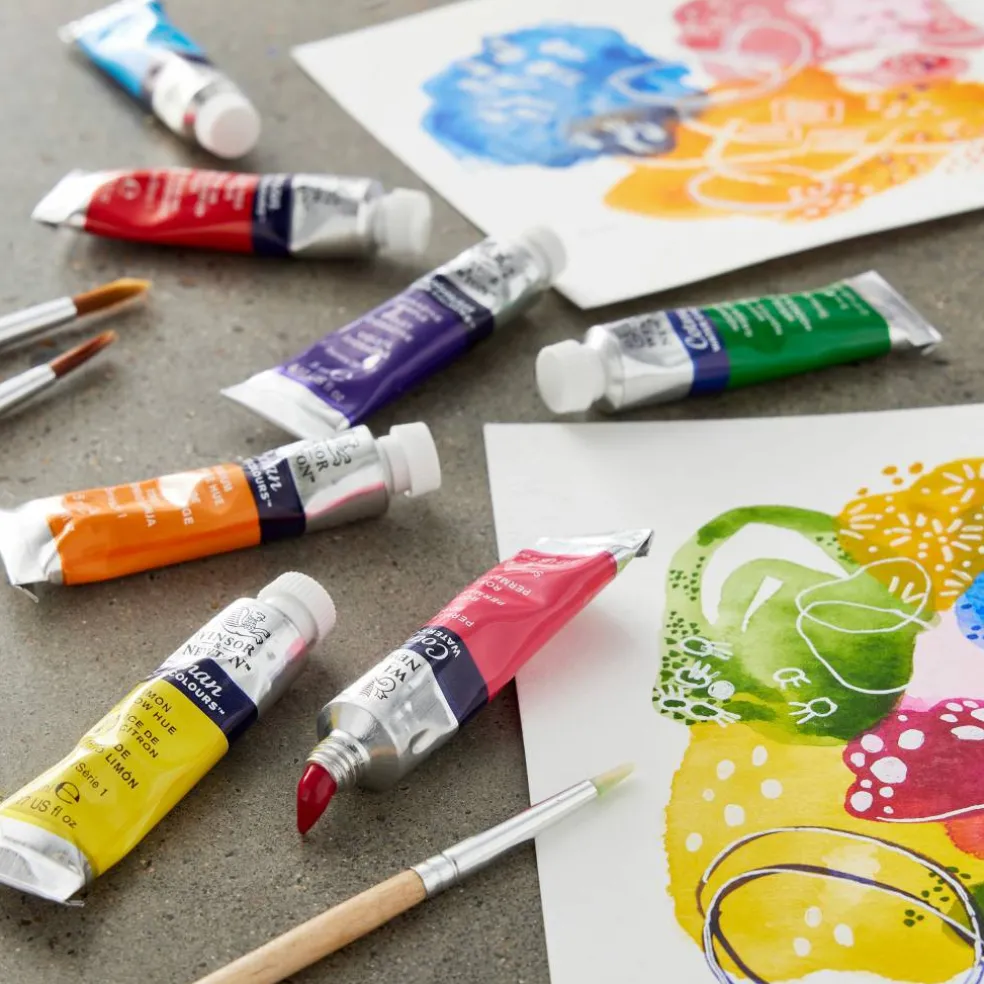 Winsor & Newton™ Cotman Water Colours™ 20 Color Paint Set