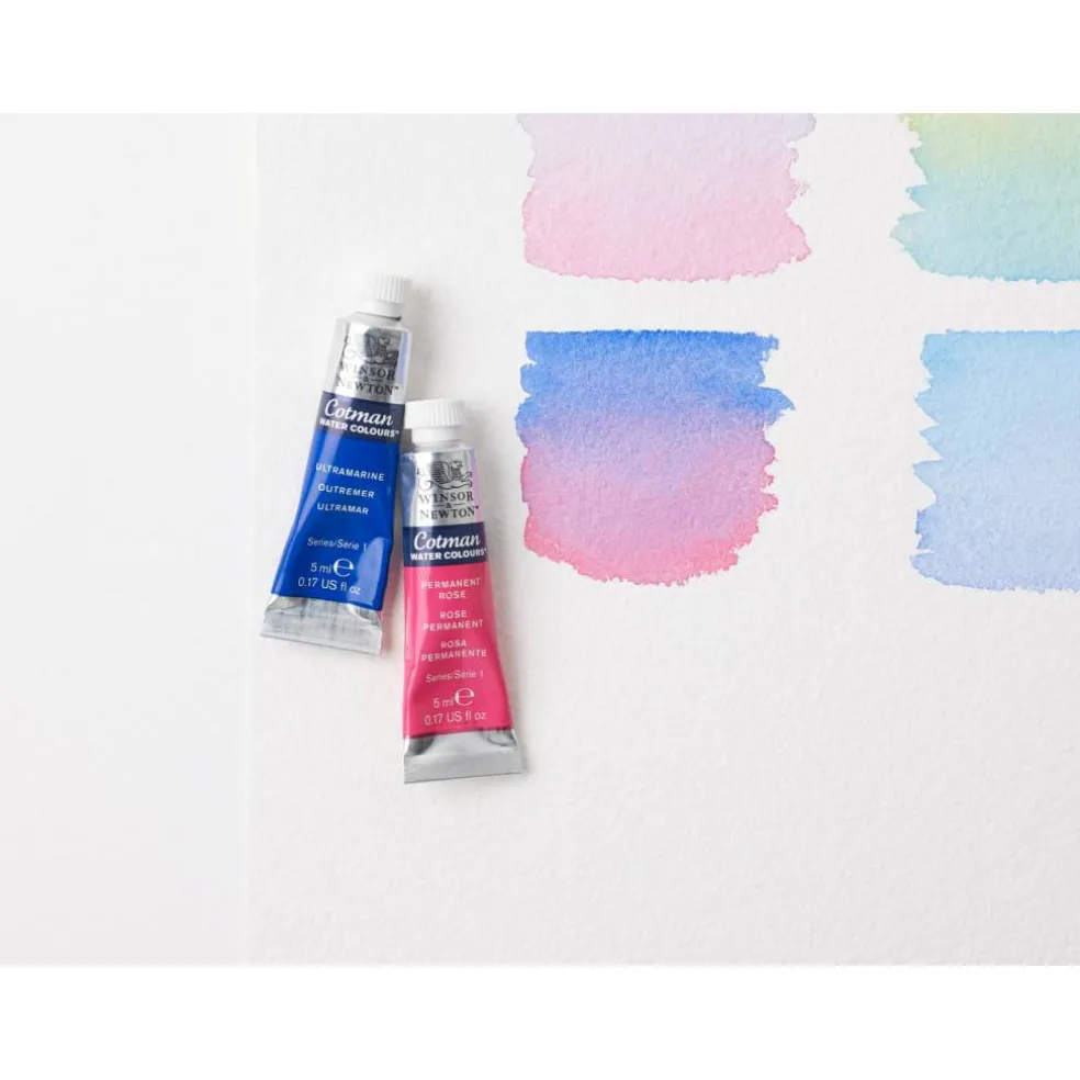 Winsor & Newton™ Cotman Water Colours™ 10 Color Paint Set