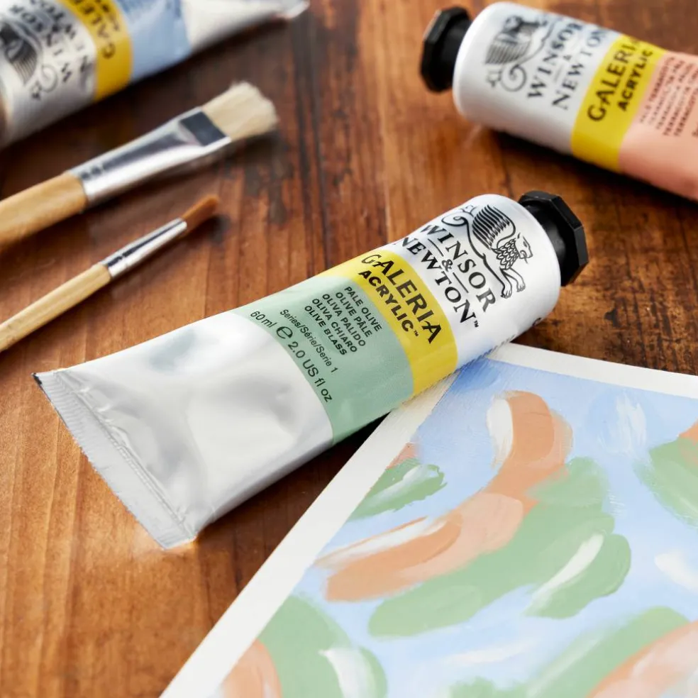 Winsor & Newton™ Galeria Acrylic™, 60mL
