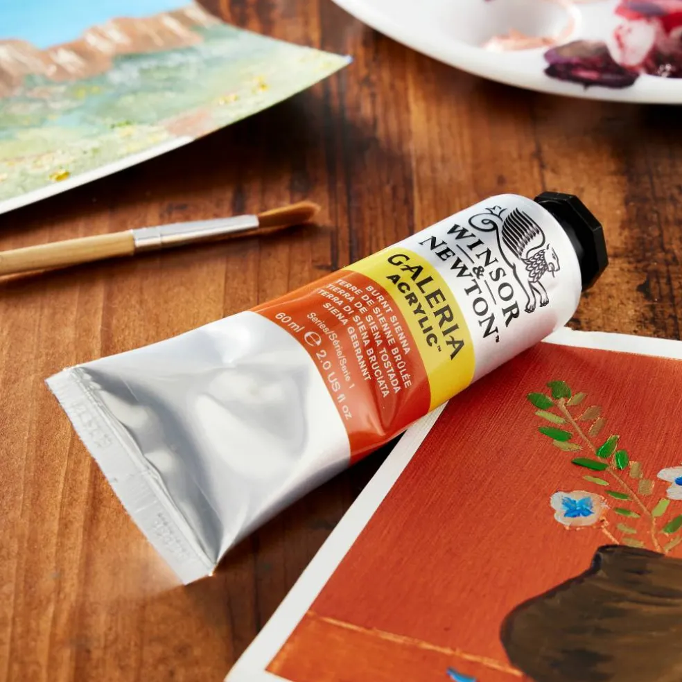 Winsor & Newton™ Galeria Acrylic™, 60mL