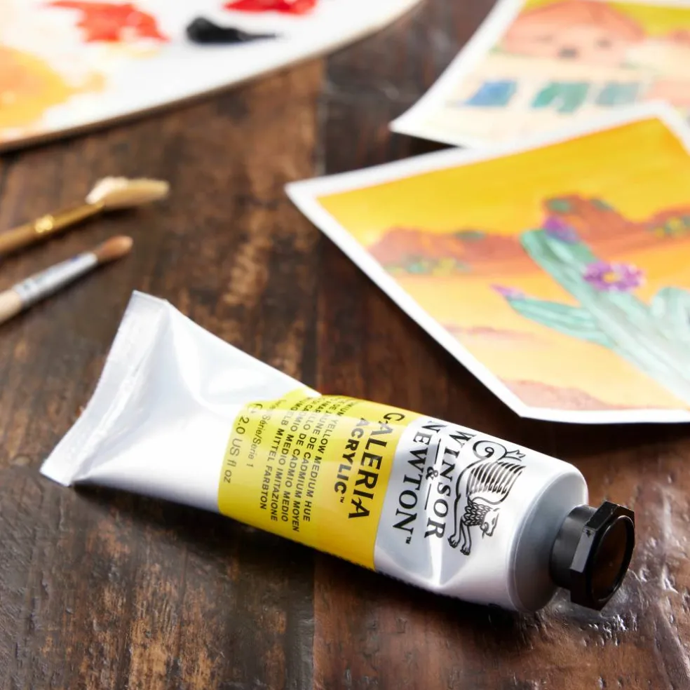 Winsor & Newton™ Galeria Acrylic™, 60mL