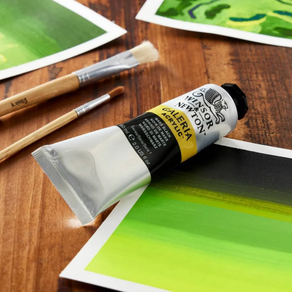 Winsor & Newton™ Galeria Acrylic™, 60mL
