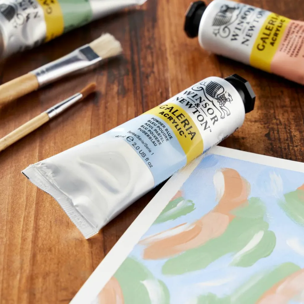 Winsor & Newton™ Galeria Acrylic™, 60mL