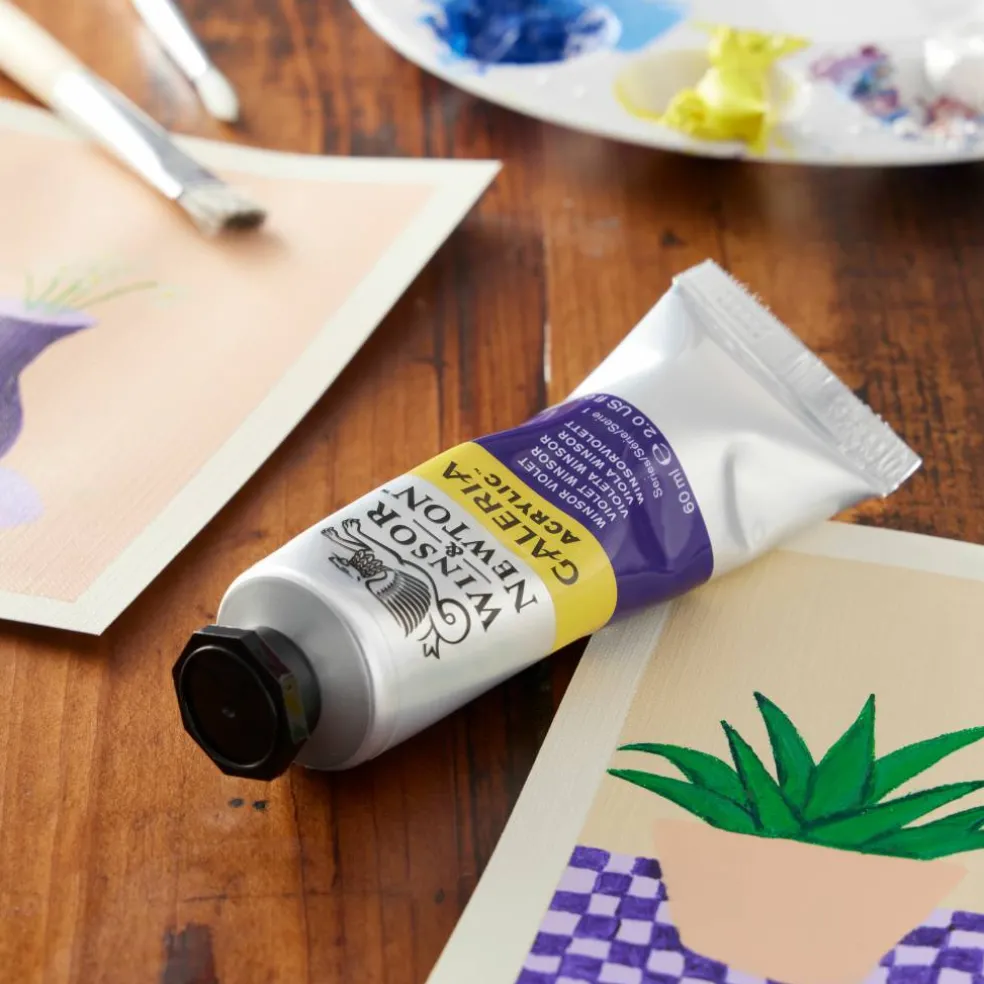 Winsor & Newton™ Galeria Acrylic™, 60mL
