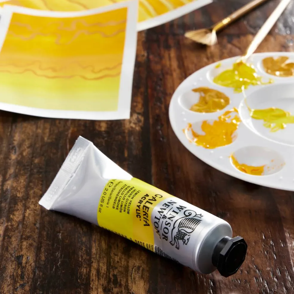 Winsor & Newton™ Galeria Acrylic™, 60mL