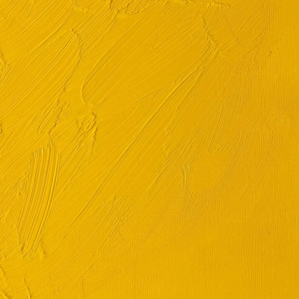 Winsor & Newton® 1.25oz. Artists' Oil Colour™ Paint