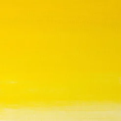 Winsor & Newton® 1.25oz. Artists' Oil Colour™ Paint