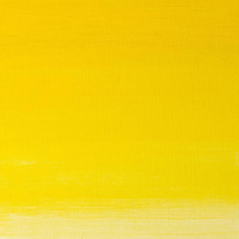 Winsor & Newton® 1.25oz. Artists' Oil Colour™ Paint