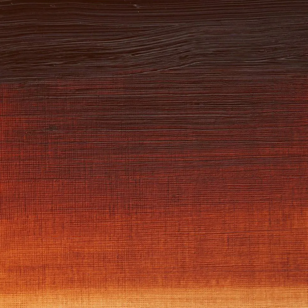 Winsor & Newton® 1.25oz. Artists' Oil Colour™ Paint