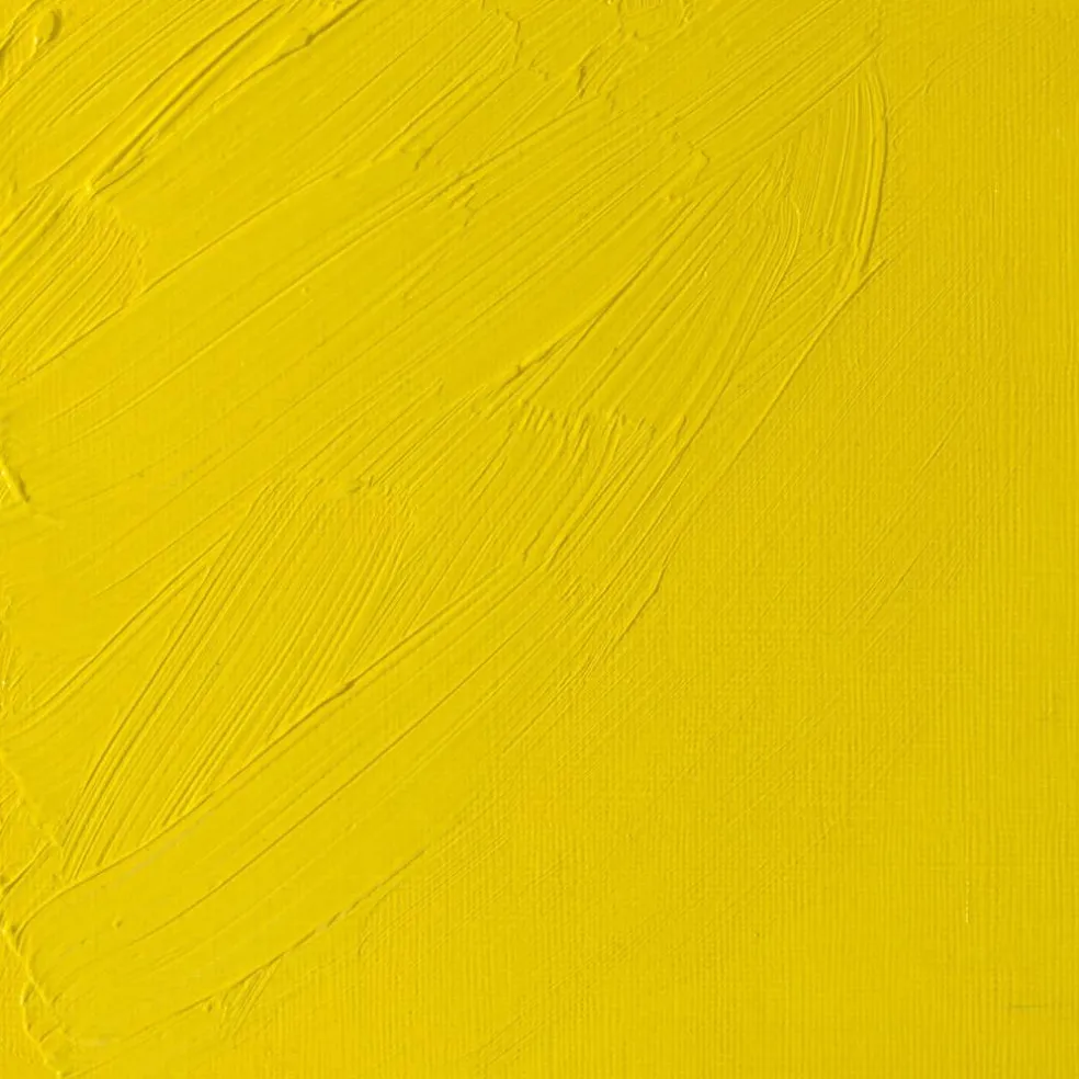 Winsor & Newton® 1.25oz. Artists' Oil Colour™ Paint