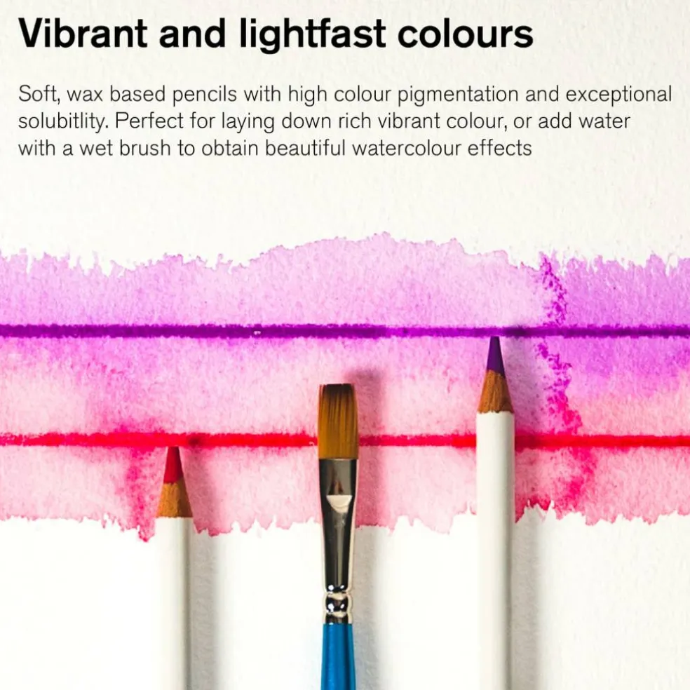 Winsor & Newton® Studio Collection 12 Watercolor Pencil Tin Set
