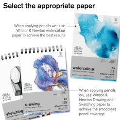 Winsor & Newton® Studio Collection 12 Watercolor Pencil Tin Set