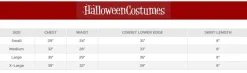 Women's 5 PC Devilicious Corset Costume