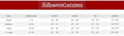 Women's Round Table Knight Costume