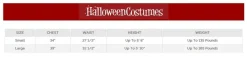 Women's Shipwrecked Costume