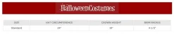 Women's Spooky Witch Costume Hat