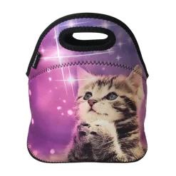 Wrapables Insulated Neoprene Lunch Bag
