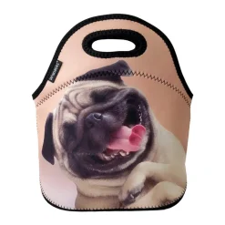 Wrapables Insulated Neoprene Lunch Bag