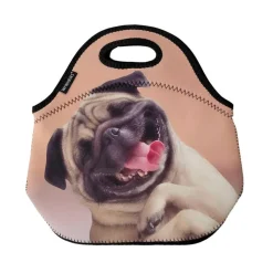 Wrapables Insulated Neoprene Lunch Bag