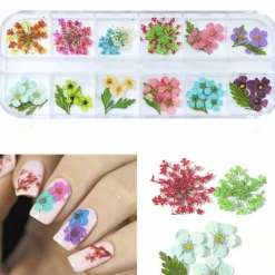 Wrapables Real Dry Flowers Nail Art 3d Flower Nail Decals Nail Manicure with Plastic Case (Set of 12), Posies
