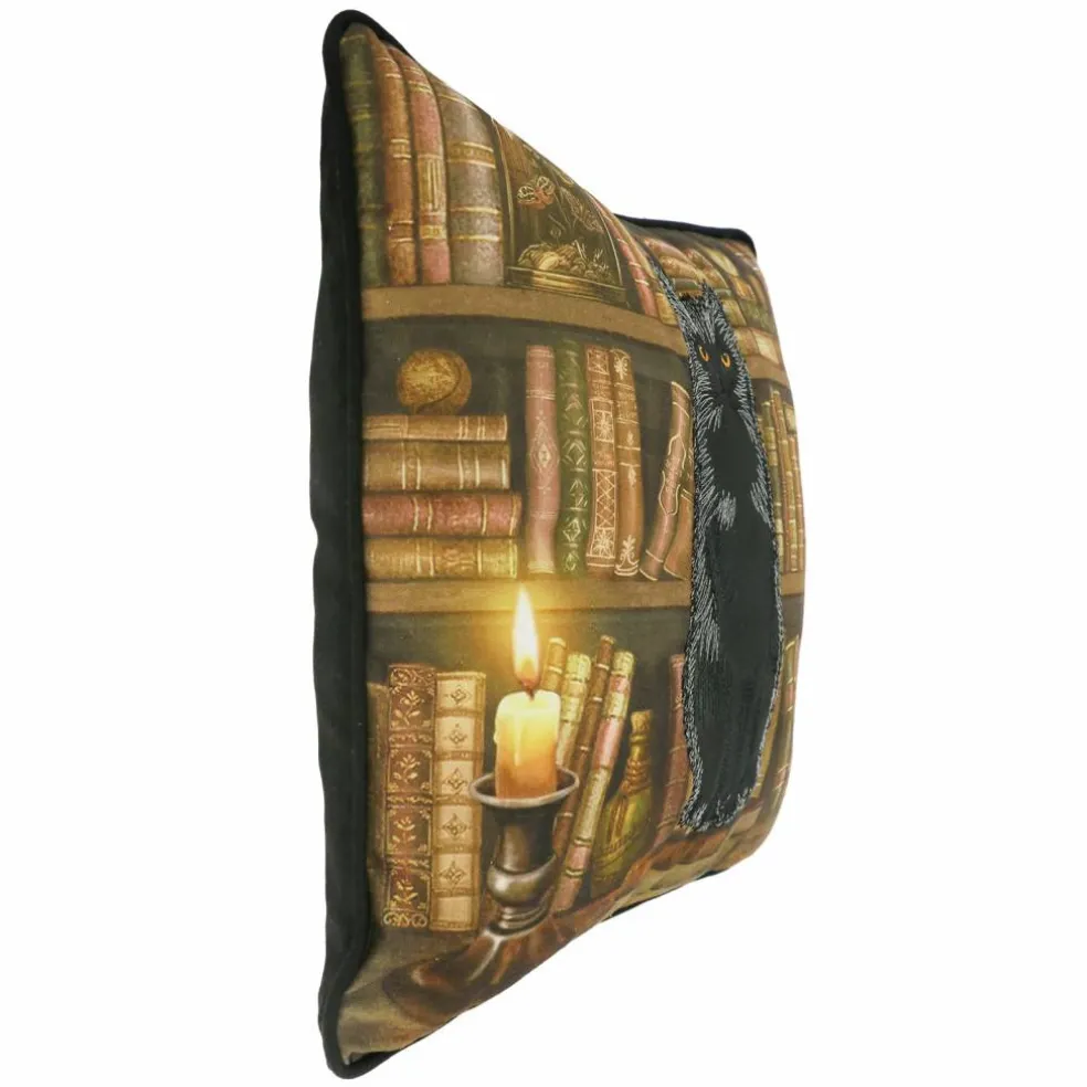 16" x 16" Black Cat & Bookshelf Throw Pillow by Ashland®
