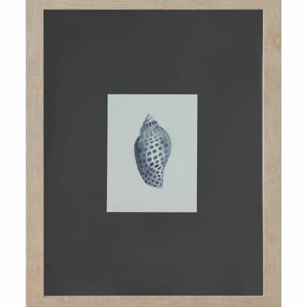 11" x 14" Blue Spotted Shell Art Wall Décor by Ashland®