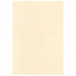 4.5" x 6.5" Cardstock Paper by Recollections™, 100 Sheets