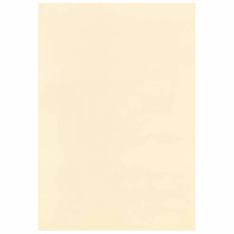 4.5" x 6.5" Cardstock Paper by Recollections™, 100 Sheets