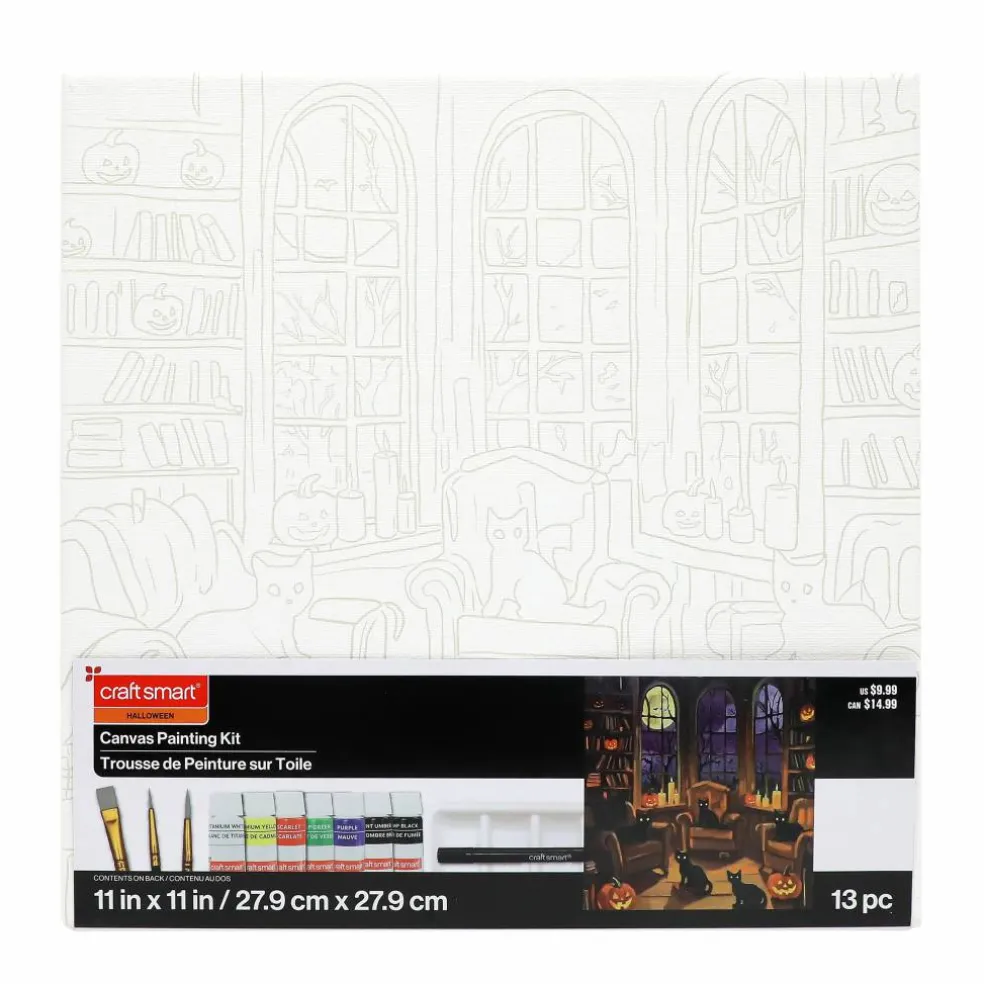 11" x 11" Cat Library Canvas Painting Kit by Craft Smart®