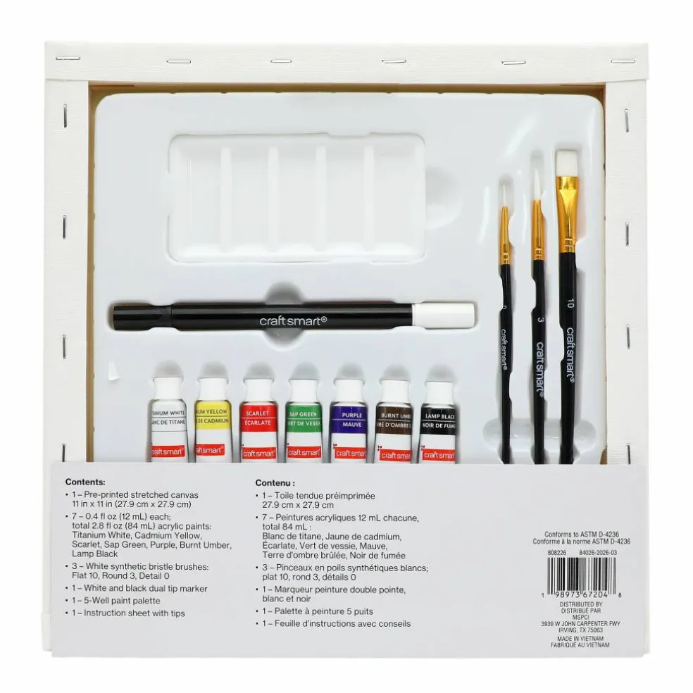 11" x 11" Cat Library Canvas Painting Kit by Craft Smart®