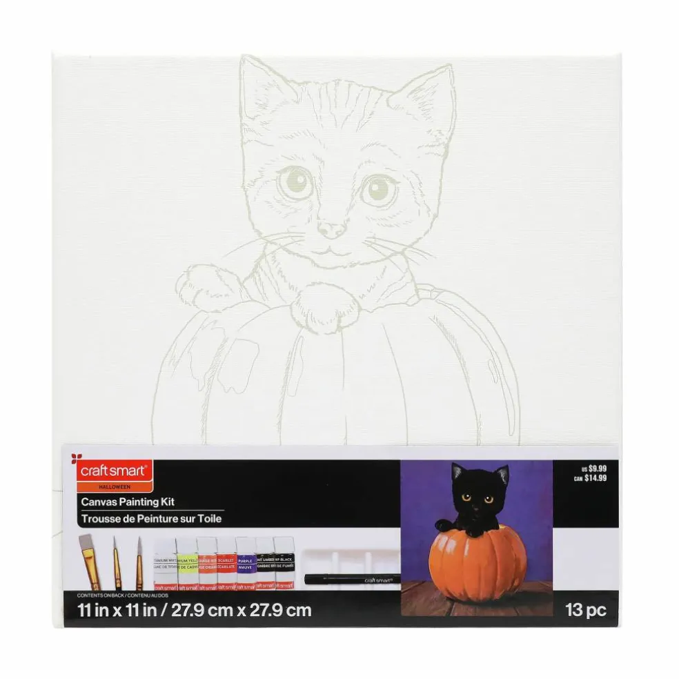11" x 11" Cat & Pumpkin Canvas Painting Kit by Craft Smart®