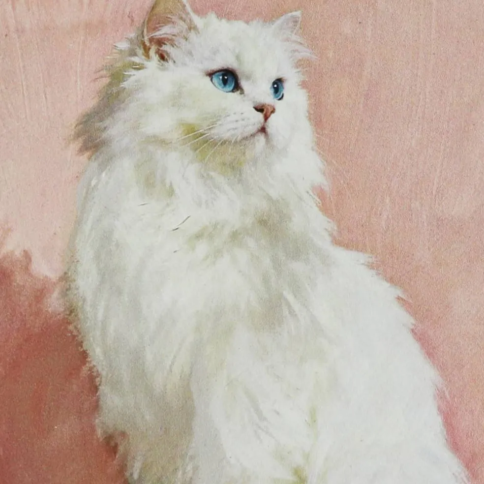 6" x 6" Cat Tabletop Décor by Ashland®