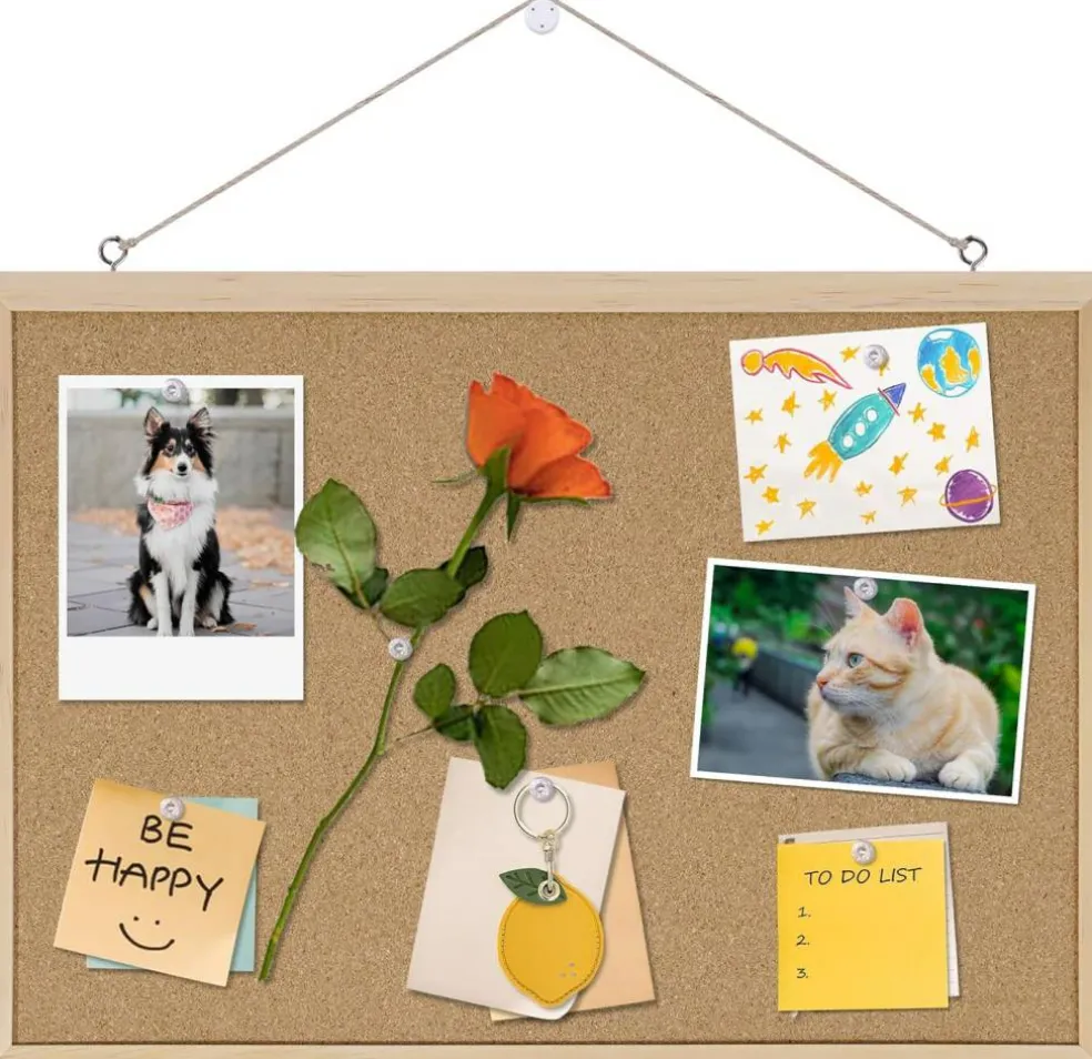 17"X 12" Cork Board for Office(Oak)