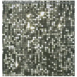 12" x 12" Double-Sided Disco Ball Cardstock Paper by Recollections™