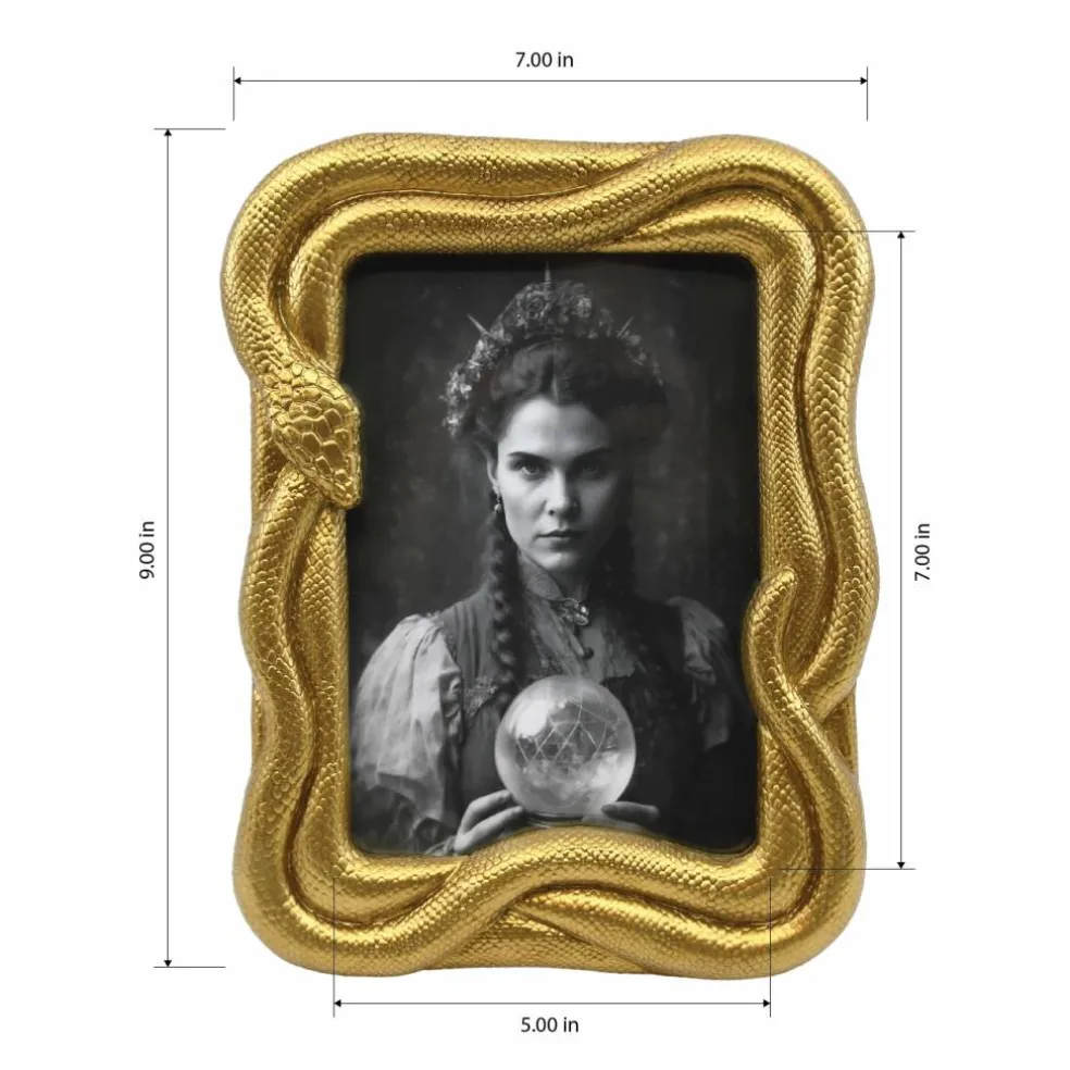 5" x 7" Gold Snake Tabletop Frame by Ashland®