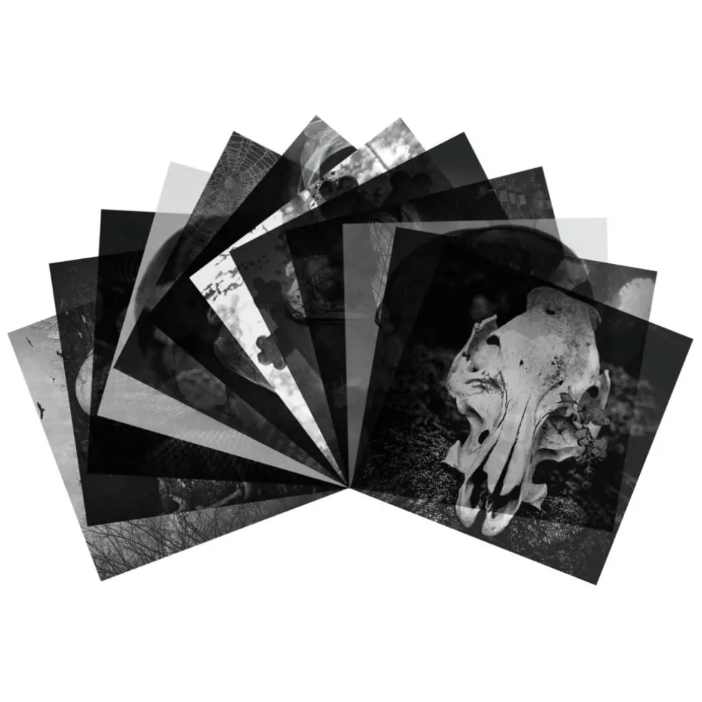 8" x 8" Haunted Halloween Acetate Pad by Recollections™, 24 Sheets