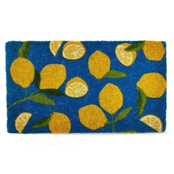 1'6" x 2'6" Lemons Coir Mat Multi Everyday Indoor Outdoor Doormat