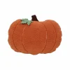 16" x 11" Pumpkin Pillow by Ashland®