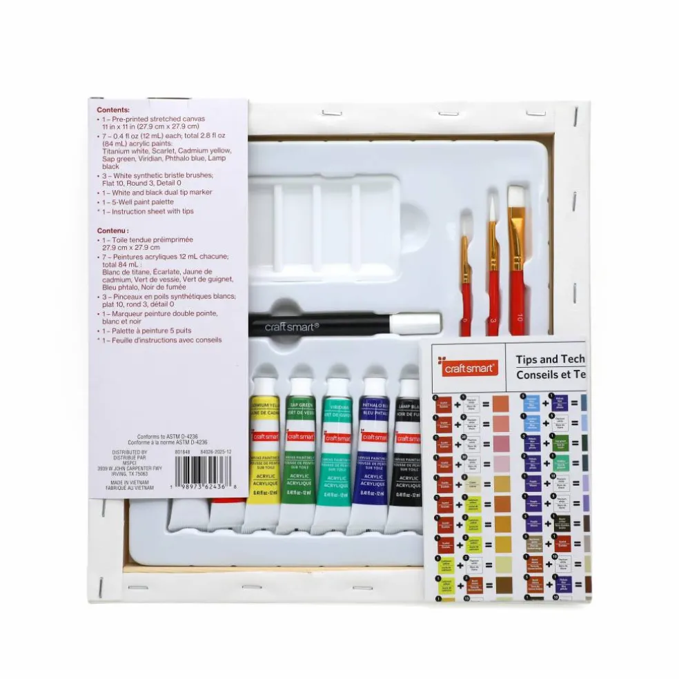 11" x 11" Summer Parrot Canvas Painting Kit by Craft Smart®