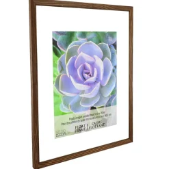 16" x 20"  Walnut Float Frame by Studio Décor®