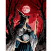 11" x 14" Witch Paint-by-Number Kit by Artist's Loft®