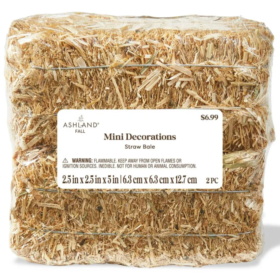 2.5" x 2.5" x 5" Straw Bale Mini Decorations, 2ct. by Ashland®