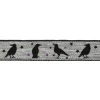 5/8" x 4yd. Silver & Black Crows Ribbon by Celebrate It®