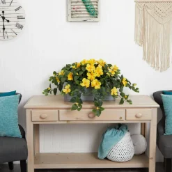 18" Yellow Hibiscus Plant in Stone Planter