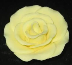 Yellow Large Gum Paste Roses 2 Inch Edible Cake Decorations – 2 Count