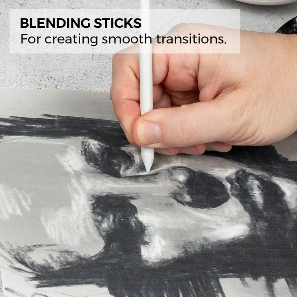 Zieler® 24 Piece Artists Charcoal Drawing Set